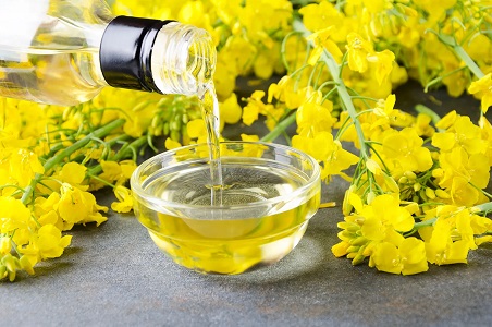 Canola Oil Manufacturing Plant Project Report 2024, Manufacturing Process, Requirements, and Setup Cost