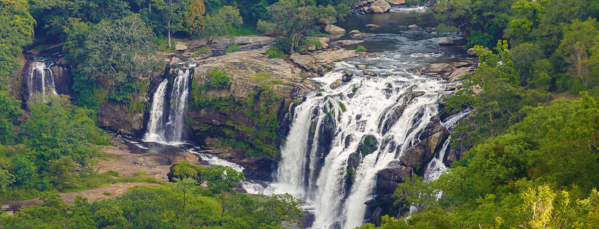 Exploring Marayoor Falls: Waterfalls, Eco Parks, and Adventure