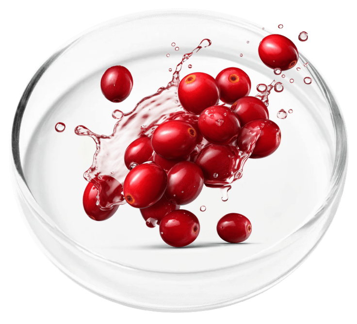 FemiPro Ingredients (Critical Customer Warning!) The Secret to Natural Bladder Health