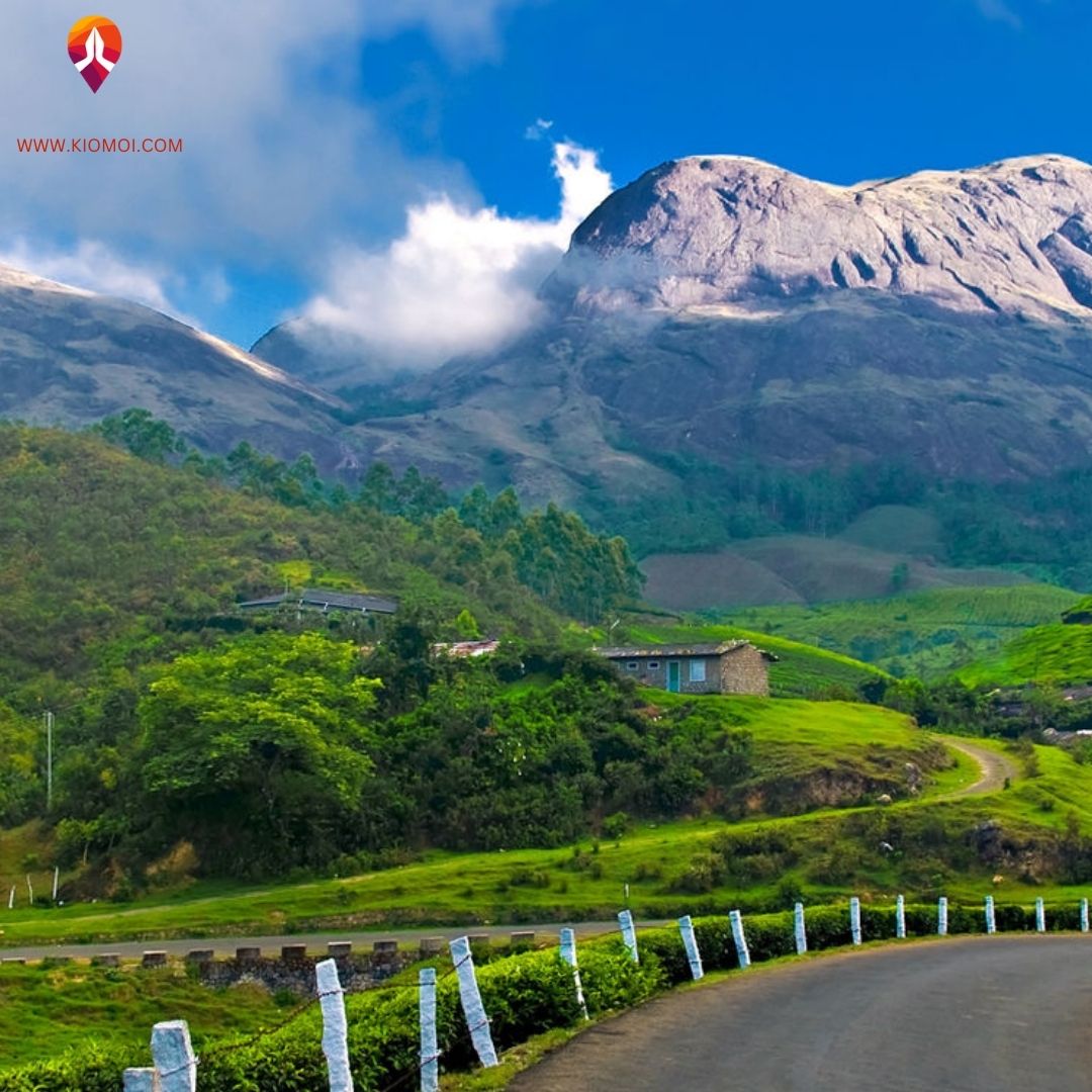 The Ultimate Guide to Munnar Tour Packages and Travel Plans