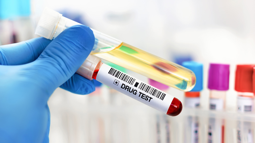 Drug Testing Market 2029: Untapped Opportunities and Growth Strategies Revealed