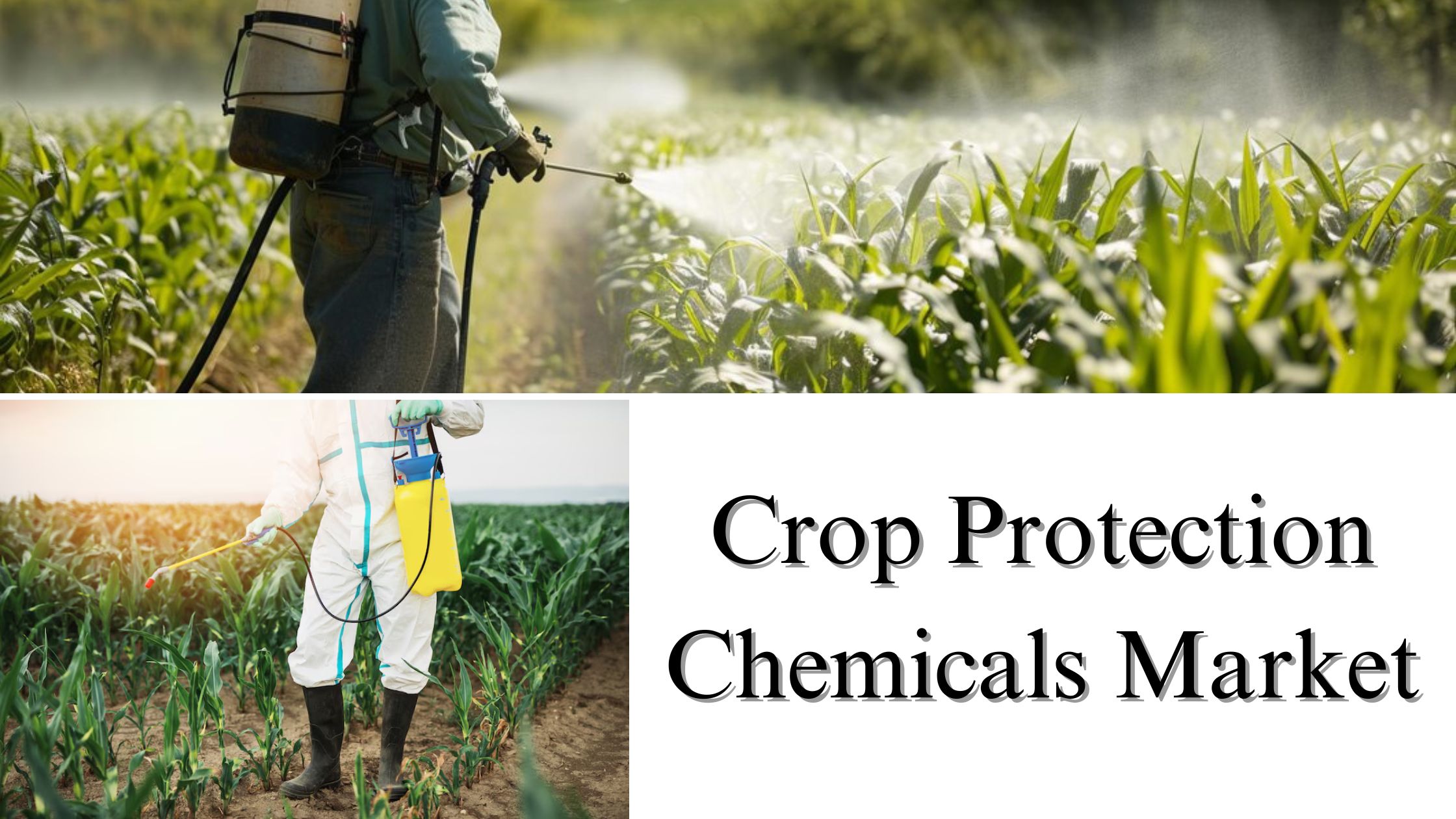 Crop Protection Chemicals Market Size, Share, Growth and Trends to 2032