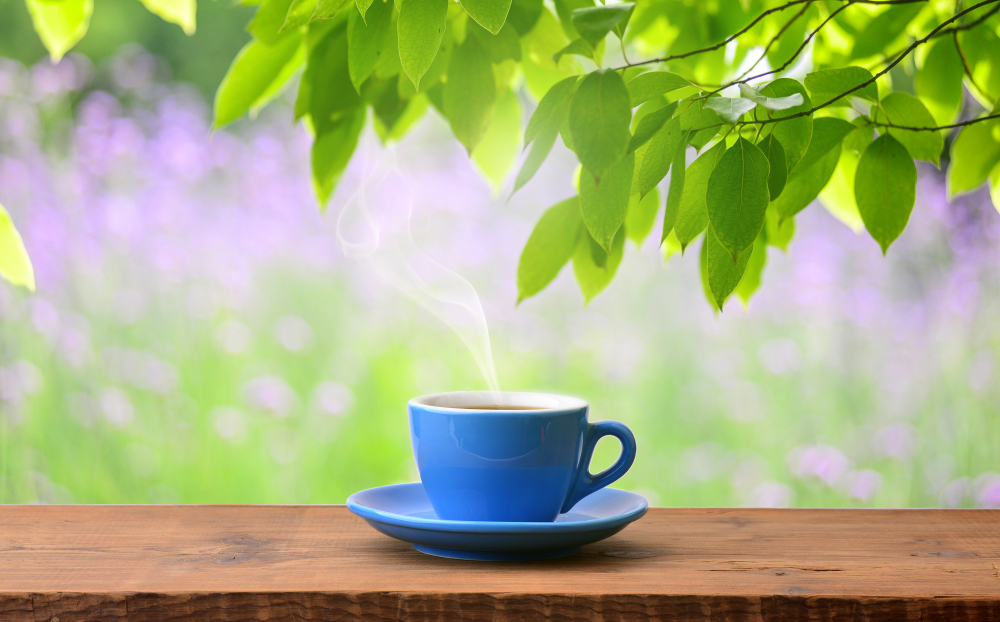 Can I Drink Tea Everyday?