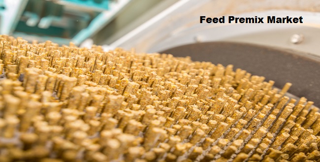 Feed Premix Market: Rising Animal Feed Demand Sparks Market Growth 2024-2028