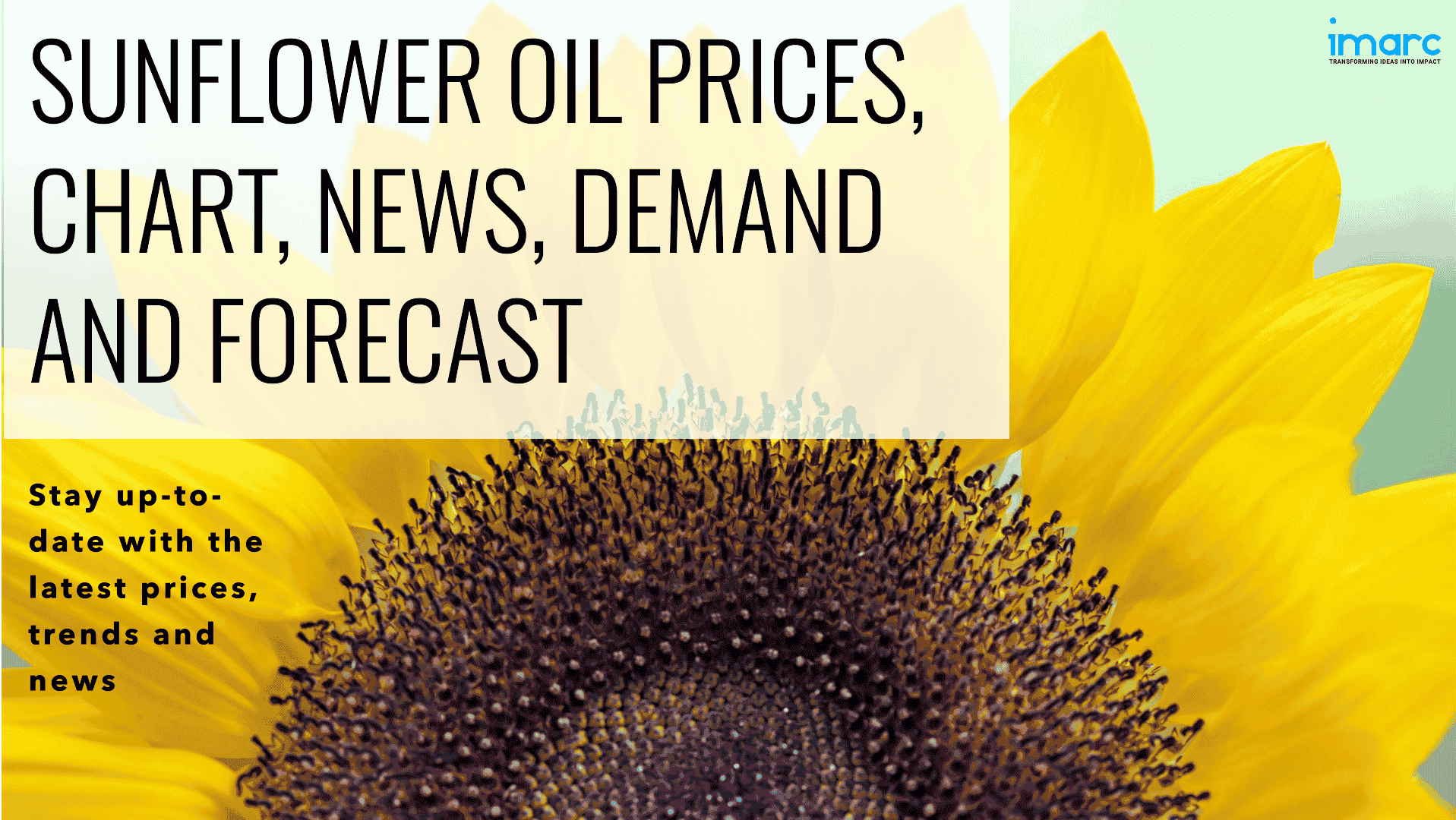 Latest Sunflower Oil Prices, Price Chart, News & Forecast Data