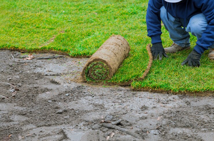 Landscape Grading: Essential Guide for Homeowners