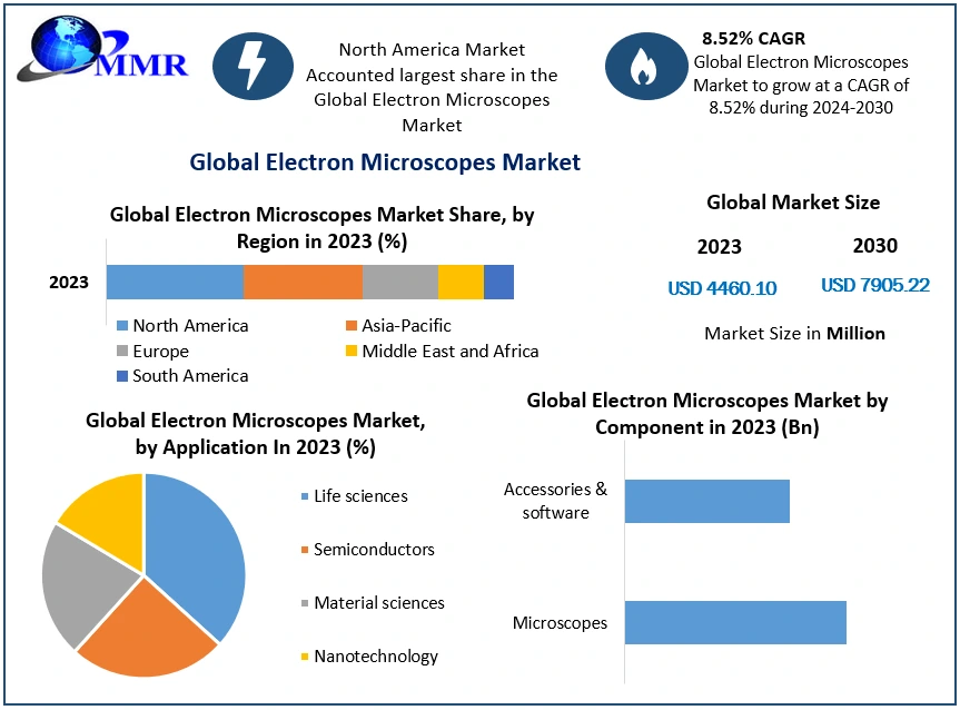 Electron Microscopest Market Expansion and Investment Strategies