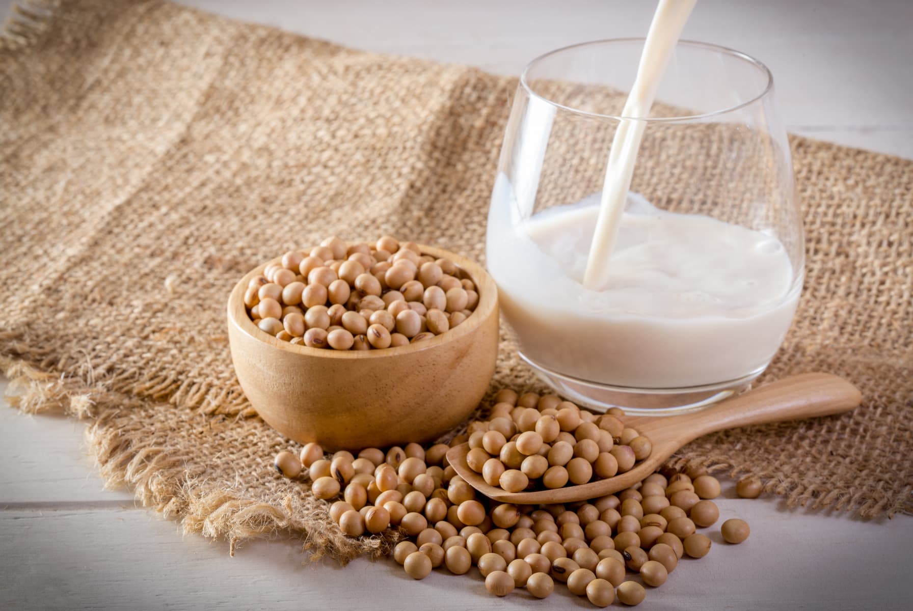 Soya Milk Manufacturing Plant 2024 - Detailed Project Report and Manufacturing Process