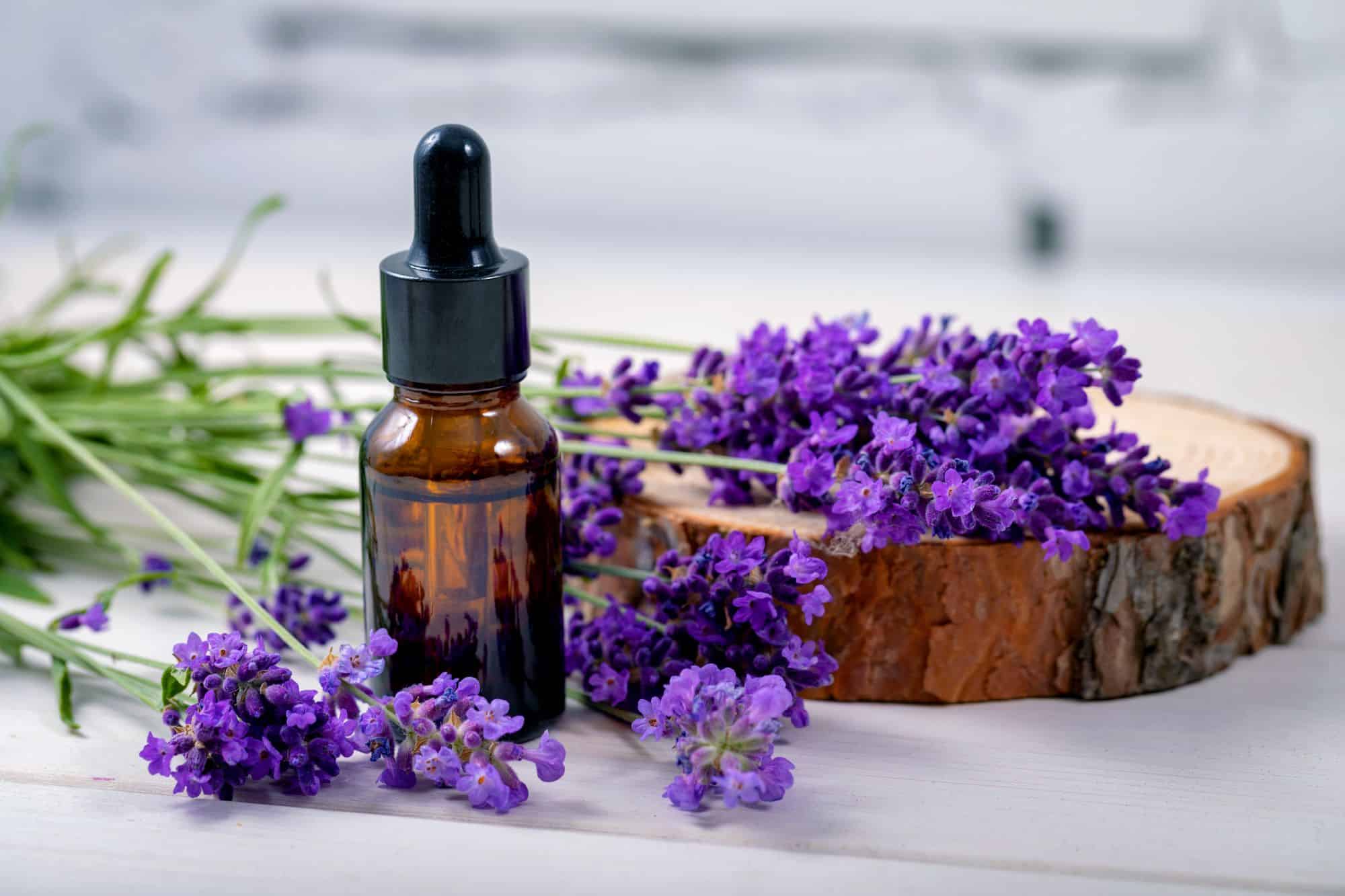 Essential Oil Market Size Grows as Incorporation into Beauty and Personal Care Products Increases