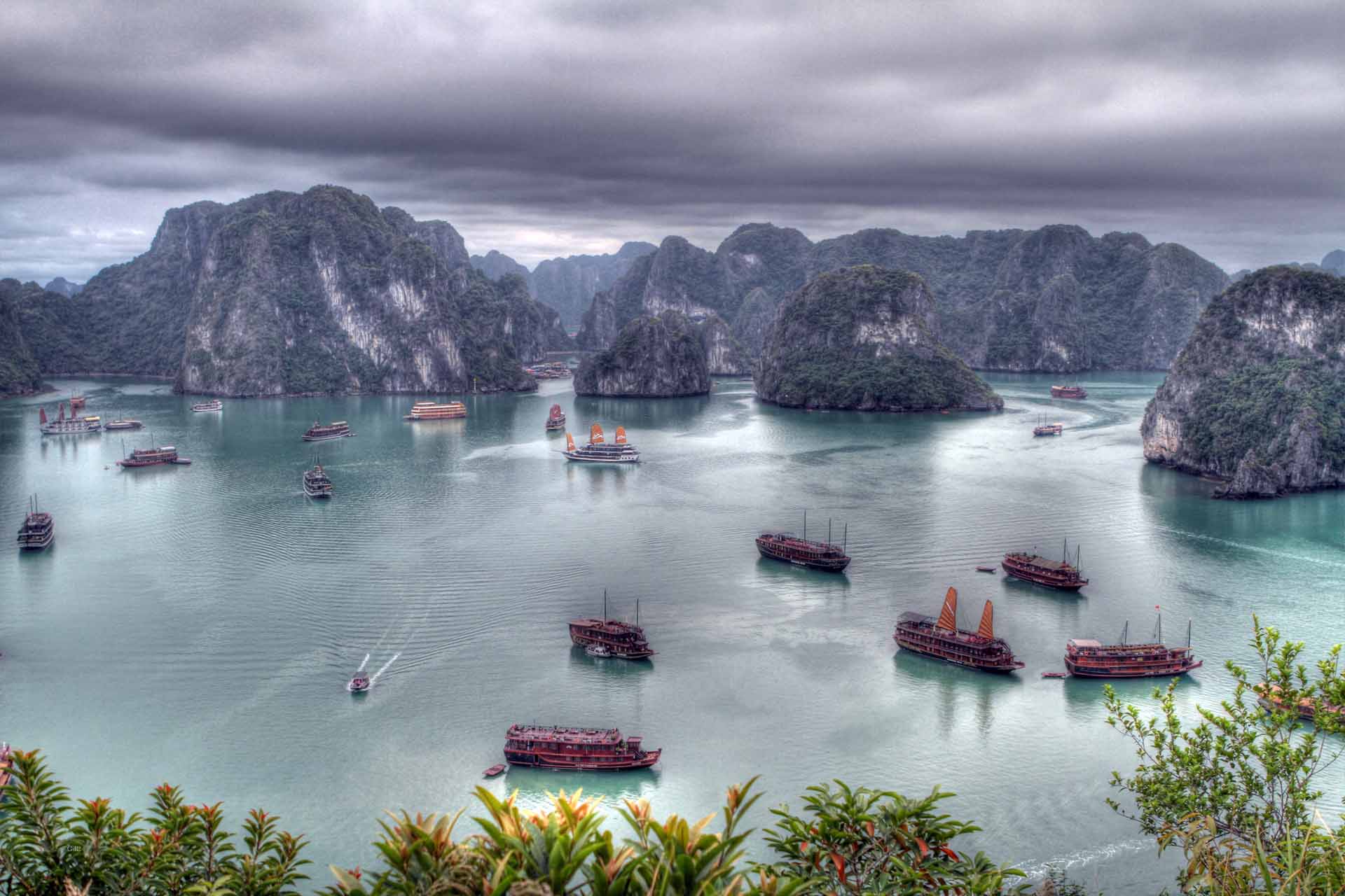 Vietnam Tour Packages: Your Gateway to Unforgettable Adventures