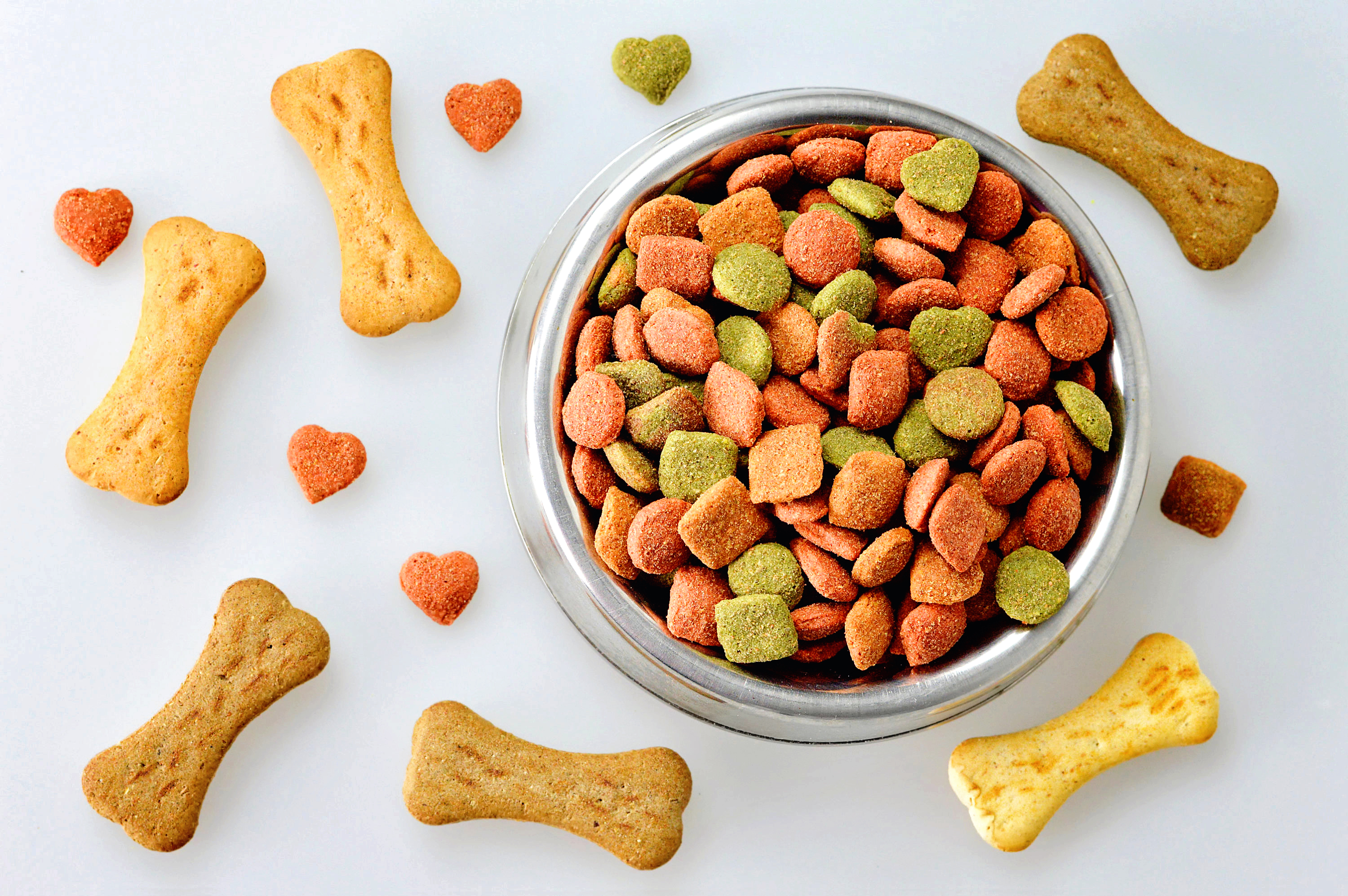 Global Pet Food Market Forecast Predicts Surge in Demand for Premium and Natural Products