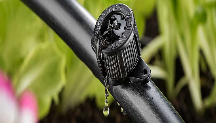 Drippers Market to Thrive as Governments Invest in Agricultural Advancements