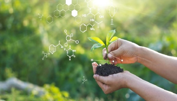 Humic-based Bio Stimulants Market Set for Growth with Organic Pesticide Shift