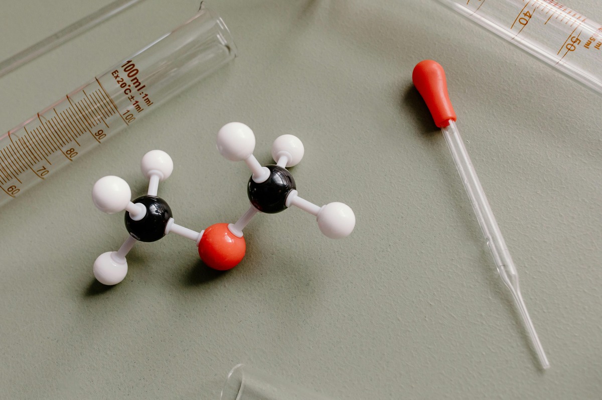 Photographic Paper Market: Trends, Growth, and Future Outlook