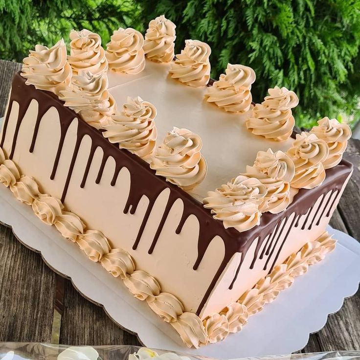 Top Customized Cakes for Every Special Occasion