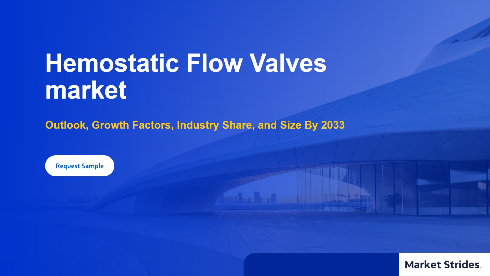 Hemostatic Flow Valves Market: Insights and Forecast to 2033 | Market Strides