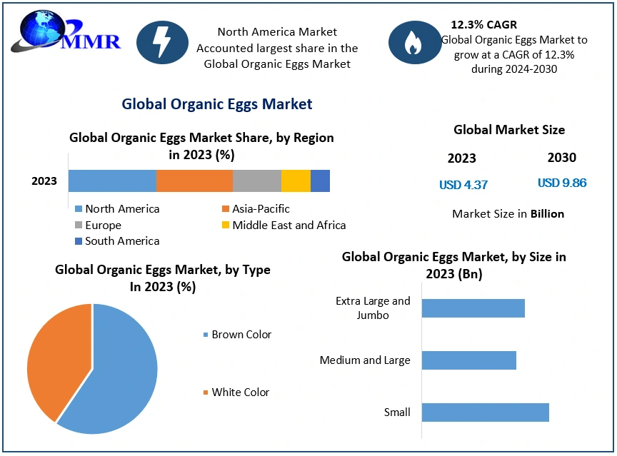 Organic Eggs Market Overview: The Key Players You Need to Know