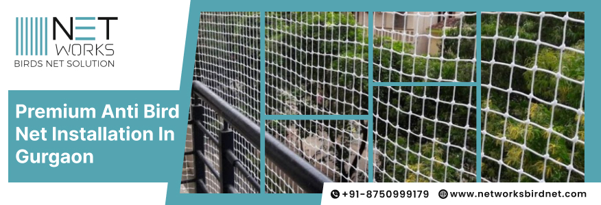 Best Anti Bird Net in Gurgaon | Anti Bird Net Near Me