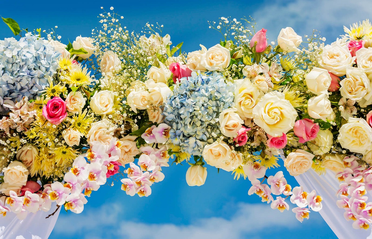How Dayrie Makes Japanese and Korean Marriages a Reality