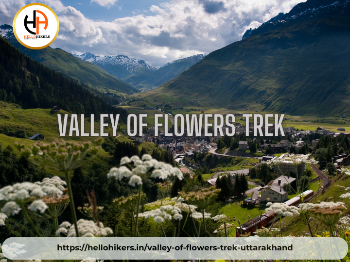 Best Time to Visit the Valley of Flowers: A Seasonal Guide