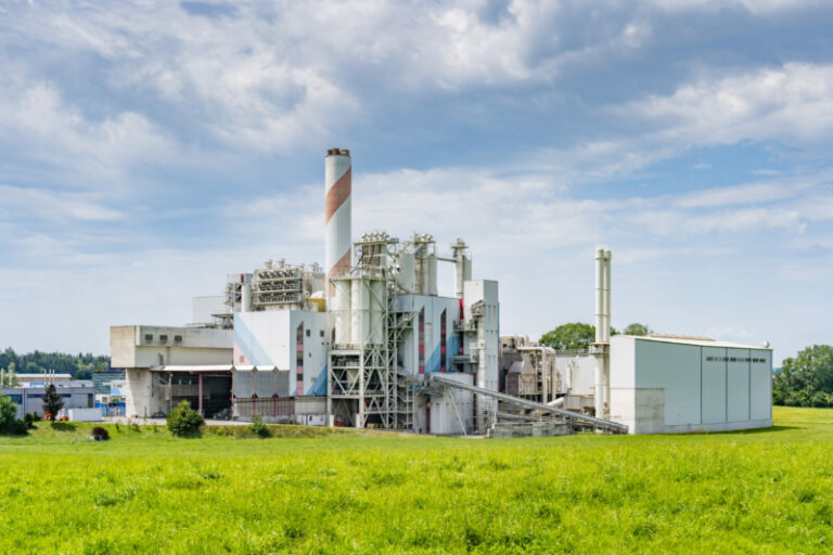 Carbon Capture and Storage Market Report 2025-2033, Industry Growth Opportunities, and Forecast