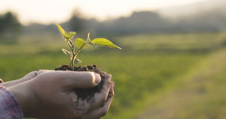 Biopesticides Market Report, Size, Industry Share, Growth, Trends, Demand and Forecast 2025-2033
