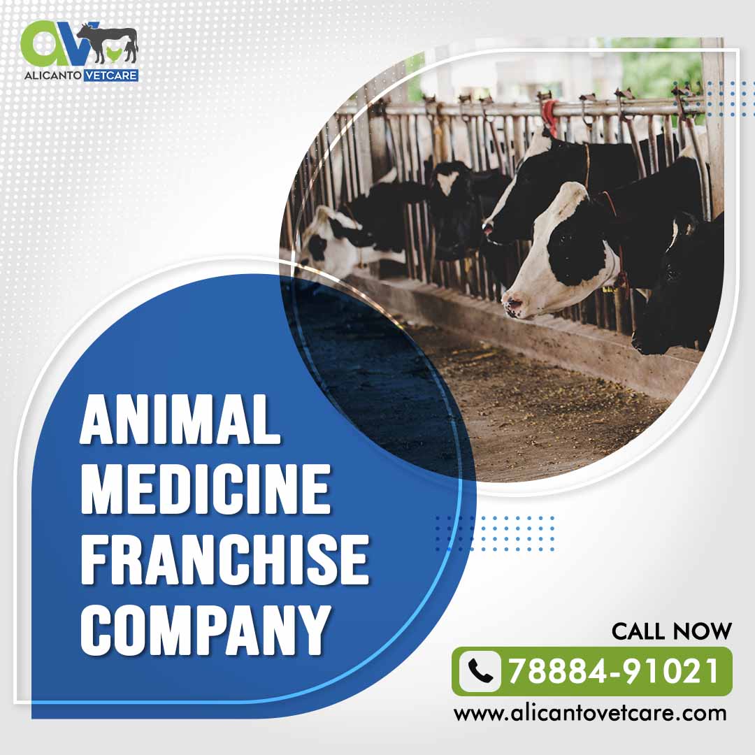 Animal Medicine Franchise Company: Shaping the Future of Veterinary Services
