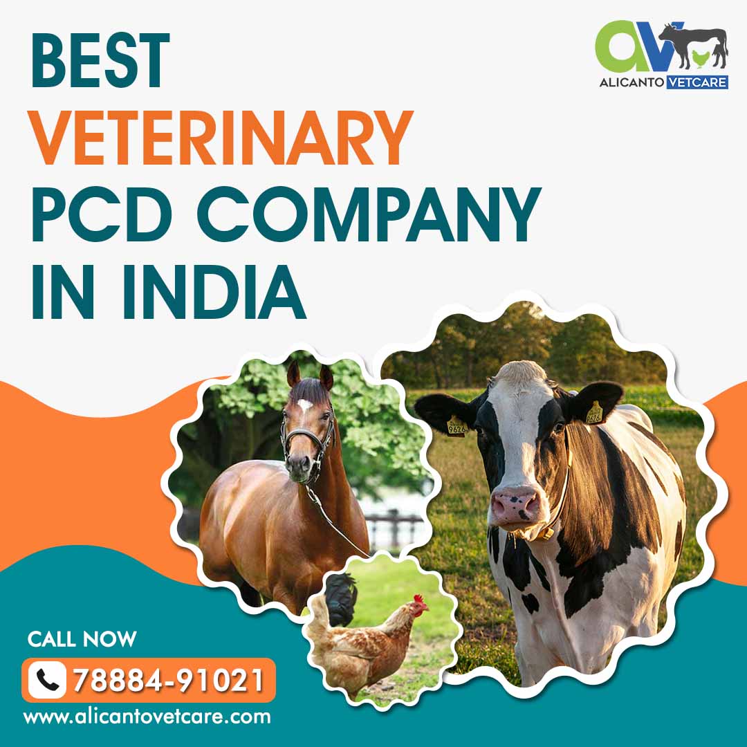 Best Veterinary PCD Company in India: Where Quality Meets Reliability