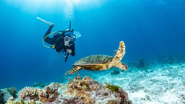 Andaman Travel Guide: Stunning Places to Explore