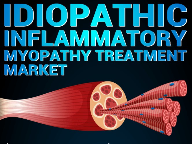 Overview of the Idiopathic Inflammatory Myopathy Treatment Market