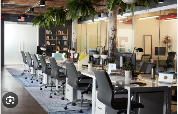 Can a Coworking Space Be Your Startup’s Best Growth Hack? Here’s Why Everyone Thinks So