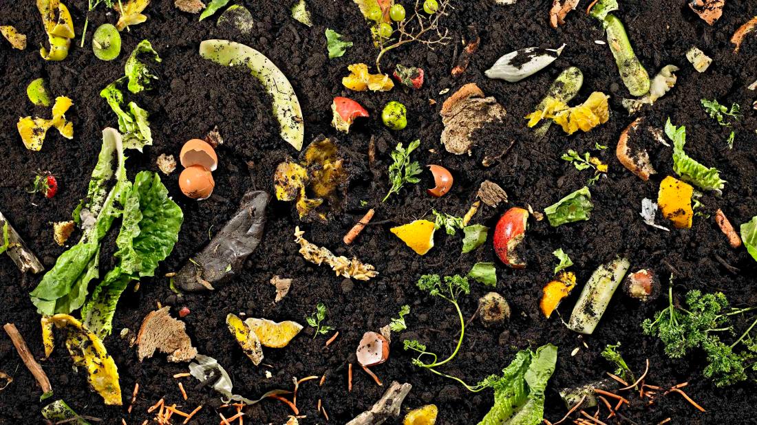 Composting Culture: A Sustainable Approach to Waste Management by Ecolagro