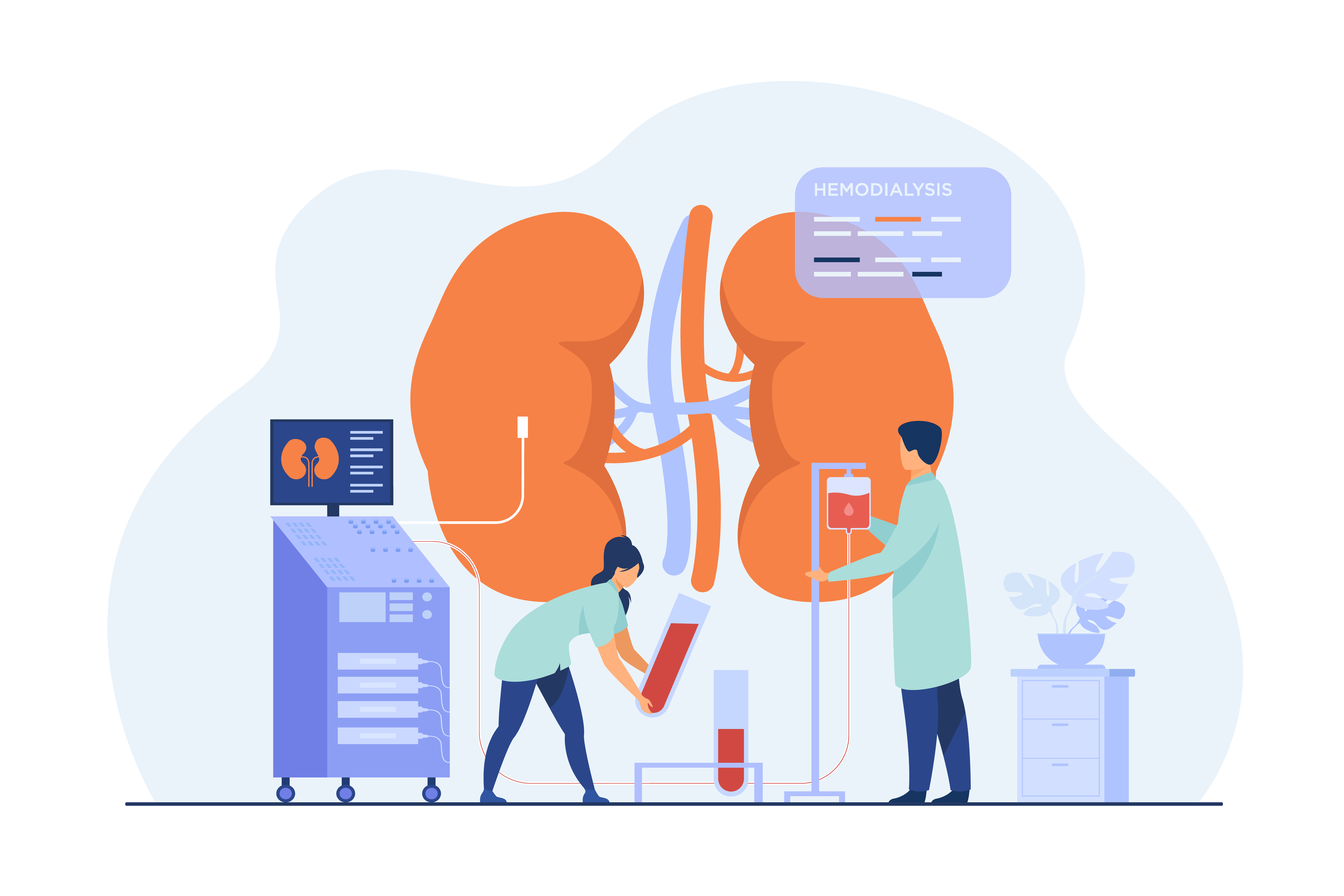 Understanding Kidney Function Tests: Protecting Your Vital Organs