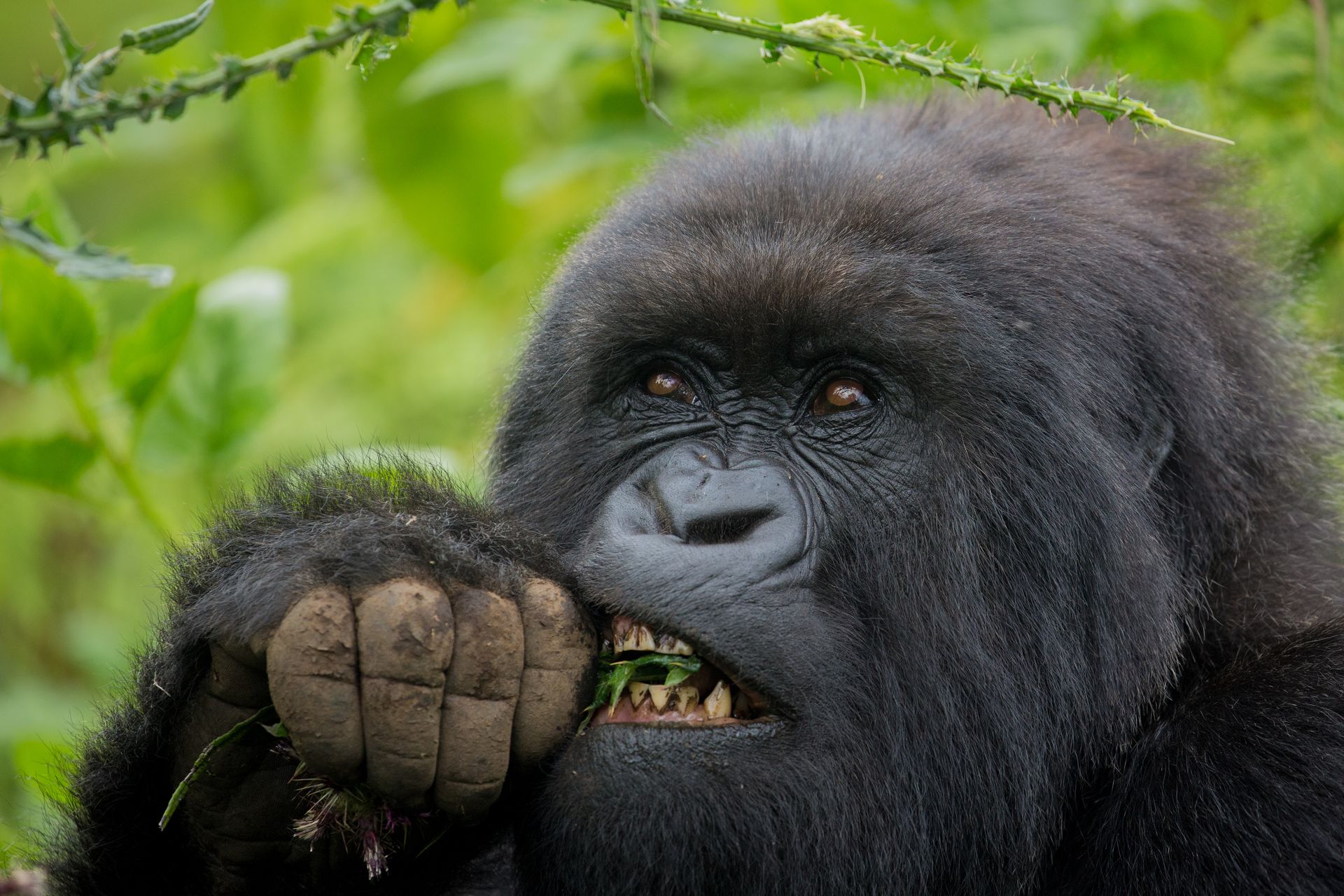Why you should visit Uganda 2025/2026