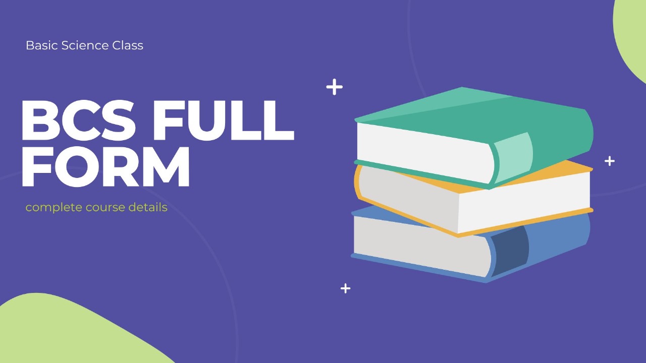 BCS Internship Tips: How to Land Your Dream Role