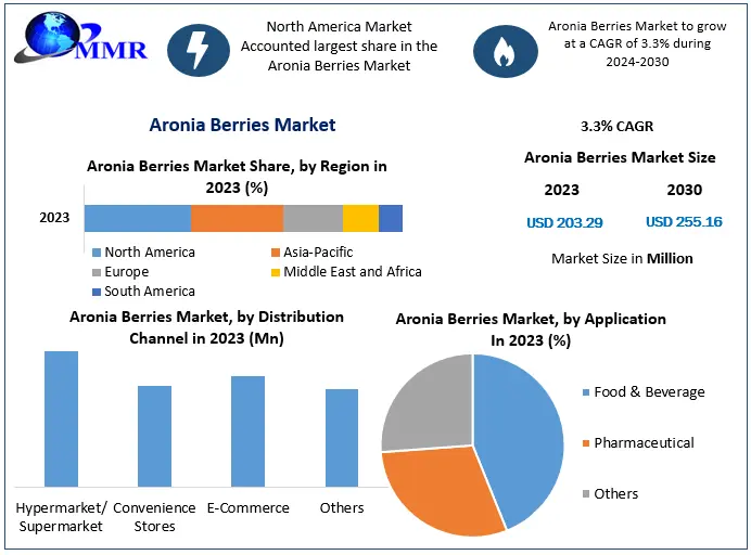 Aronia Berries Market: Driving Growth Through Health and Wellness Trends