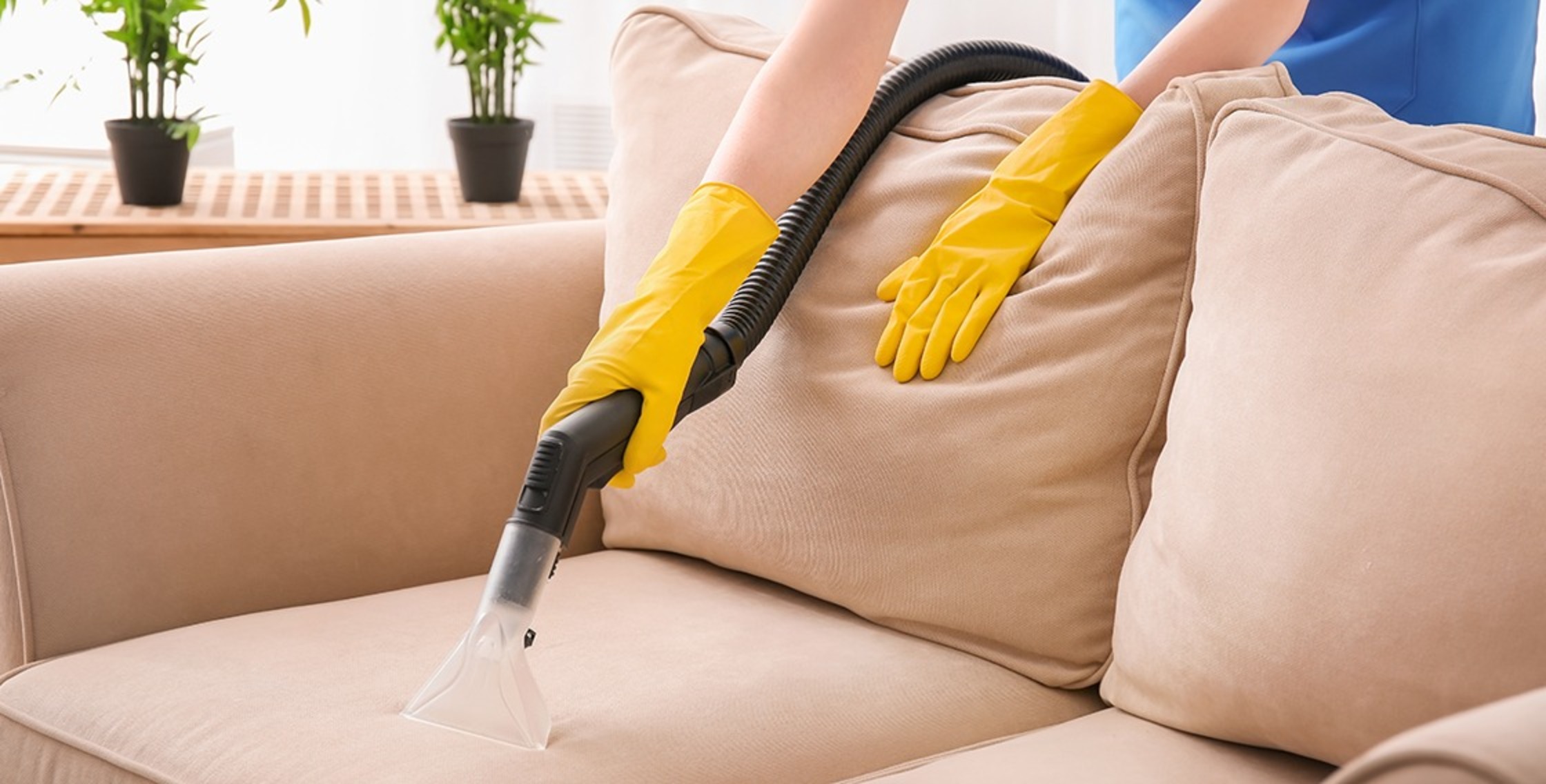 Upholstery Cleaning and Maintenance Tips from The Experts
