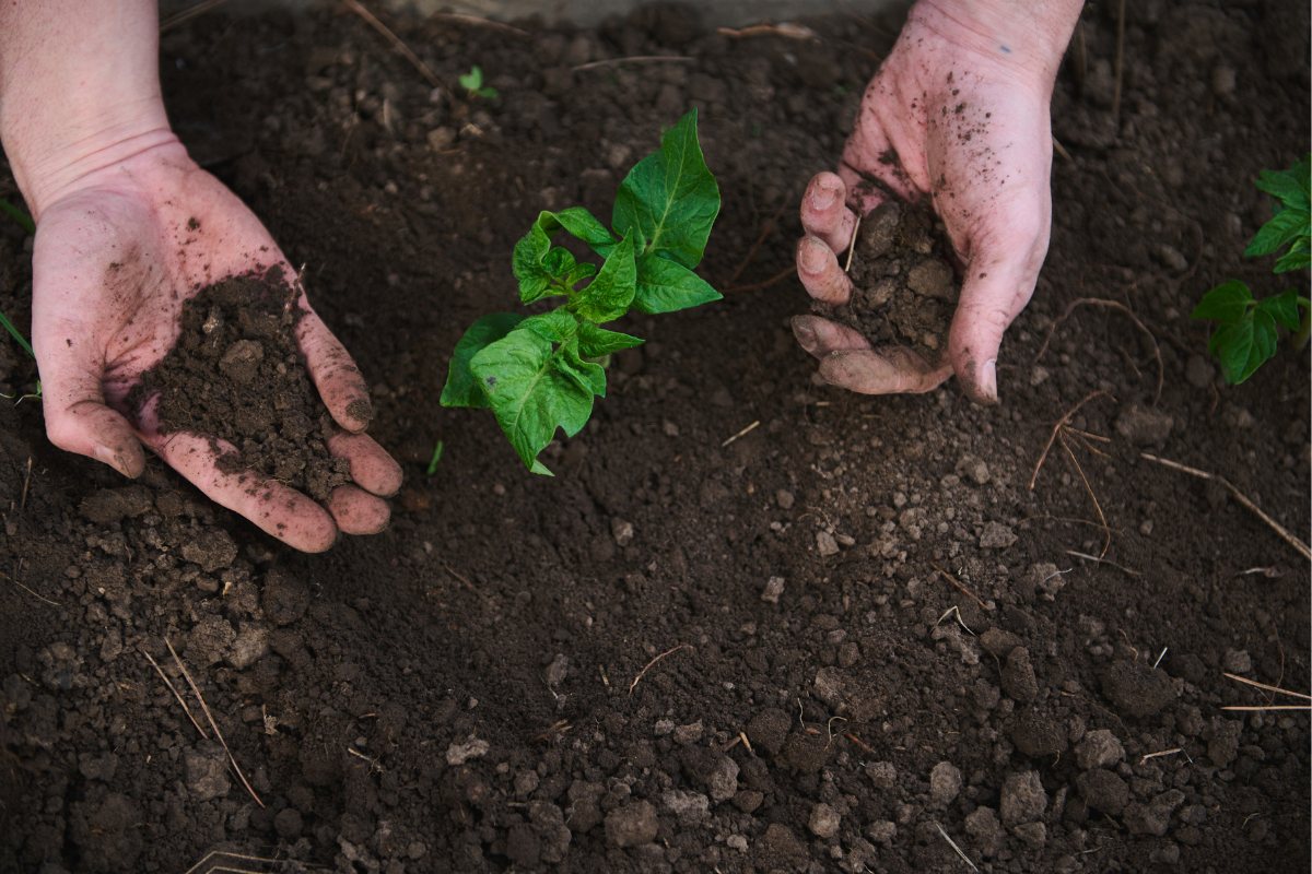 Deere & Company: Pioneering Smart Agriculture