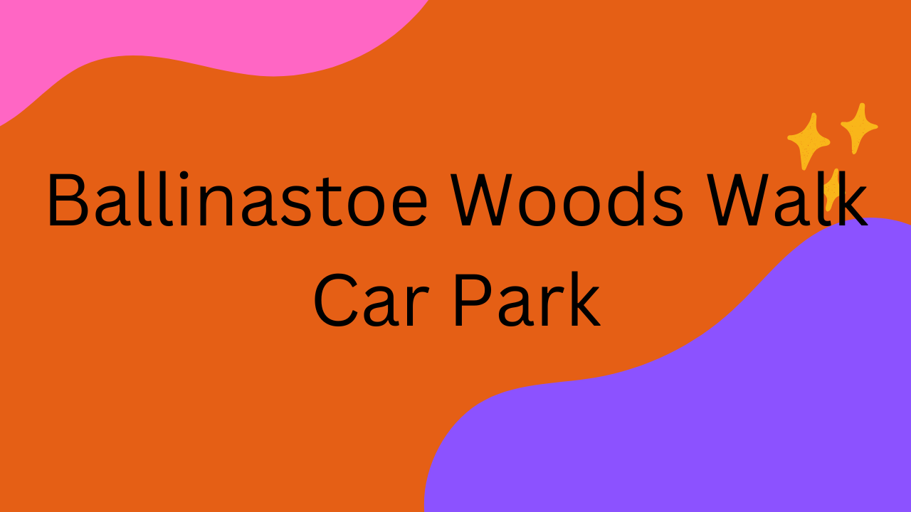 Ballinastoe Woods Walk Car Park: A Complete Visitor’s Guide