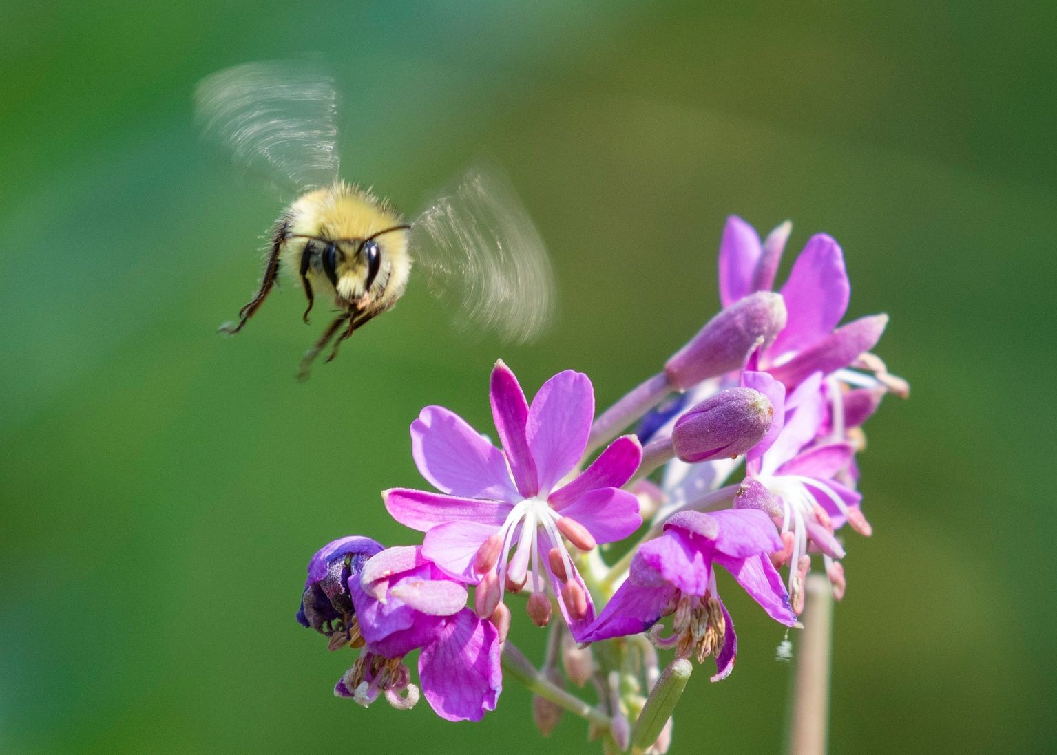 Discover the Best Photography Experience in Calgary