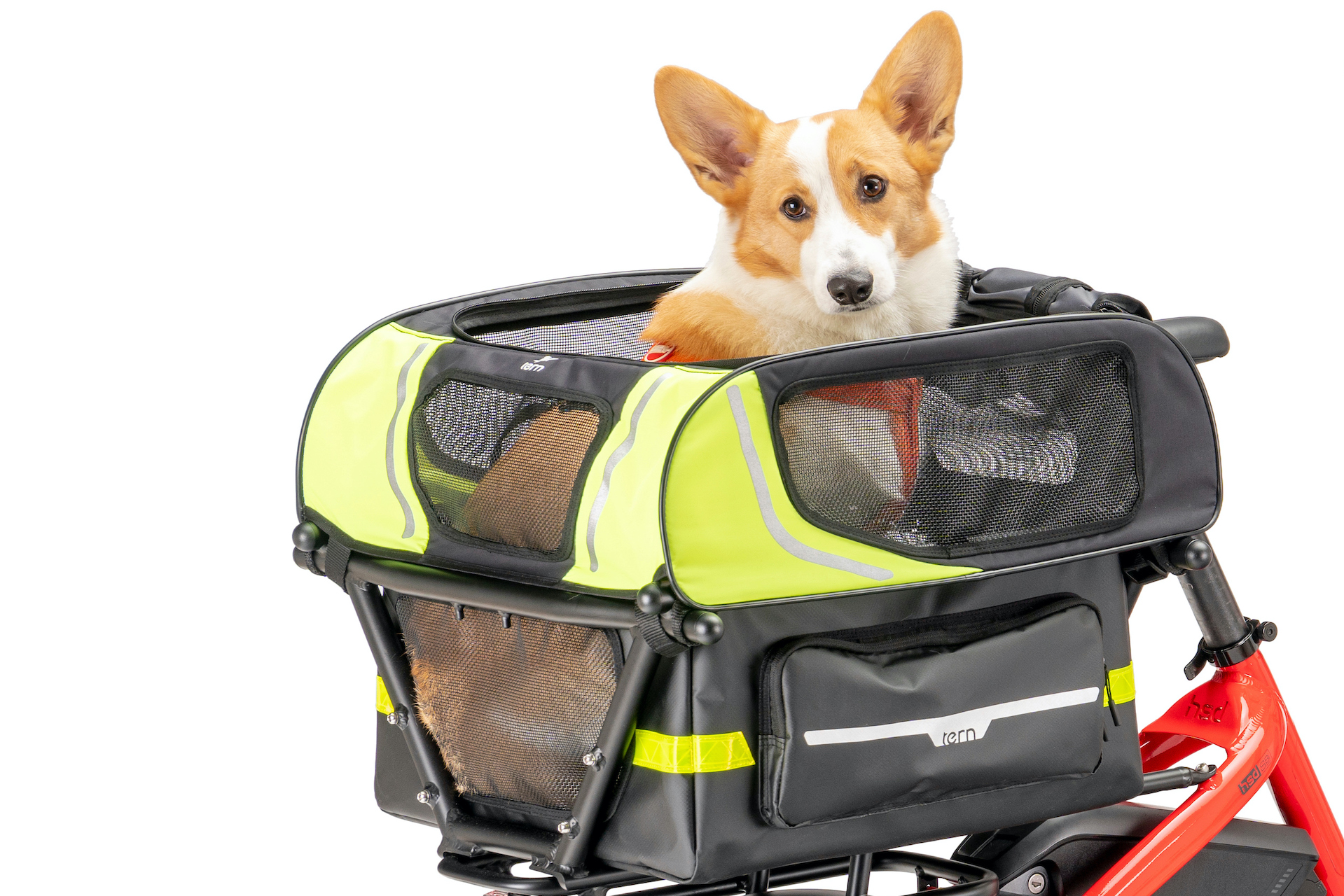 Best Dog Carrier Launch: Coming Soon to the United Kingdom