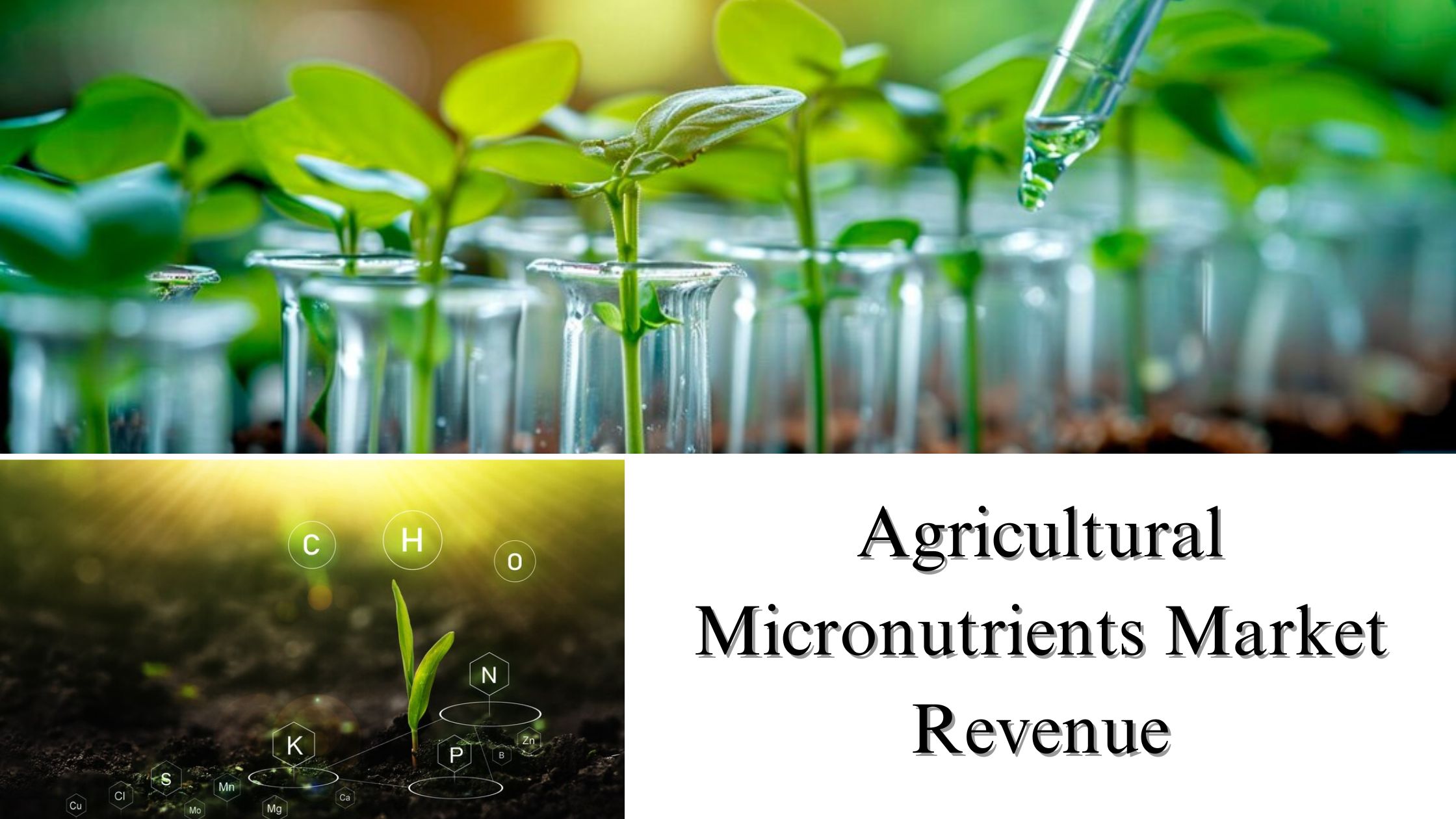 Agricultural Micronutrients Market Revenue, Size, Share, Growth Forecast Through 2032
