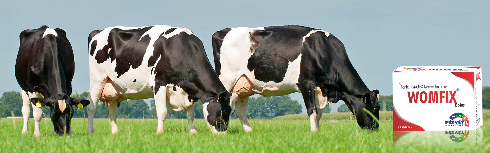 Why Choose a PCD Veterinary Company for Your Animal Health Needs in Latur
