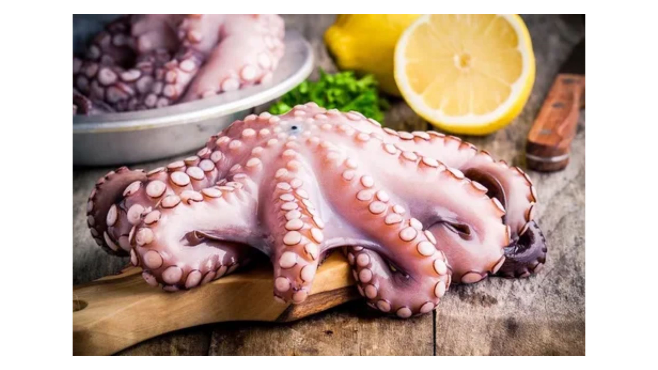 Why Buy Octopus Legs? Convenience, Flavor, and Versatility