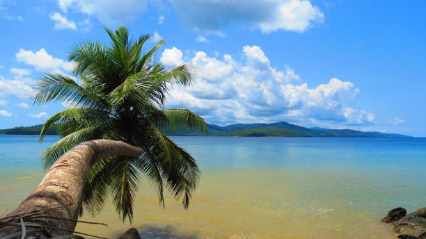 Elephant Beach: Perfect for Snorkeling and Scuba Diving