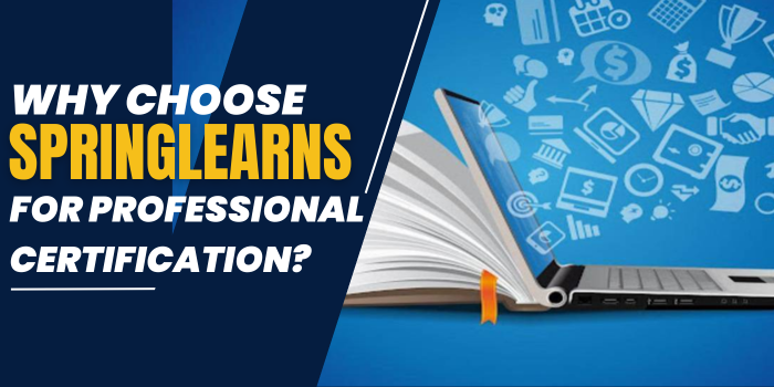 Why Choose Springlearns for Professional Certification?