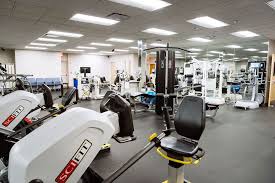 The Science Behind High Performance Training in Brooklyn Gyms