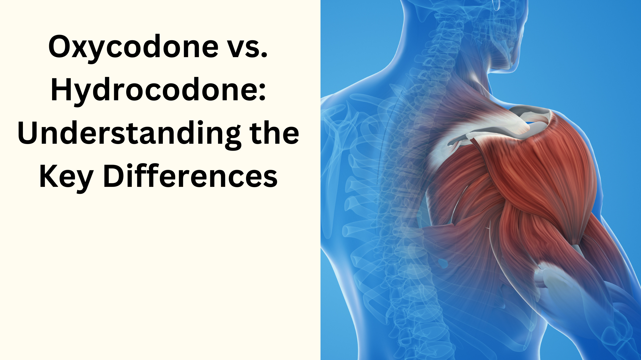 Oxycodone vs. Hydrocodone: Understanding the Key Differences