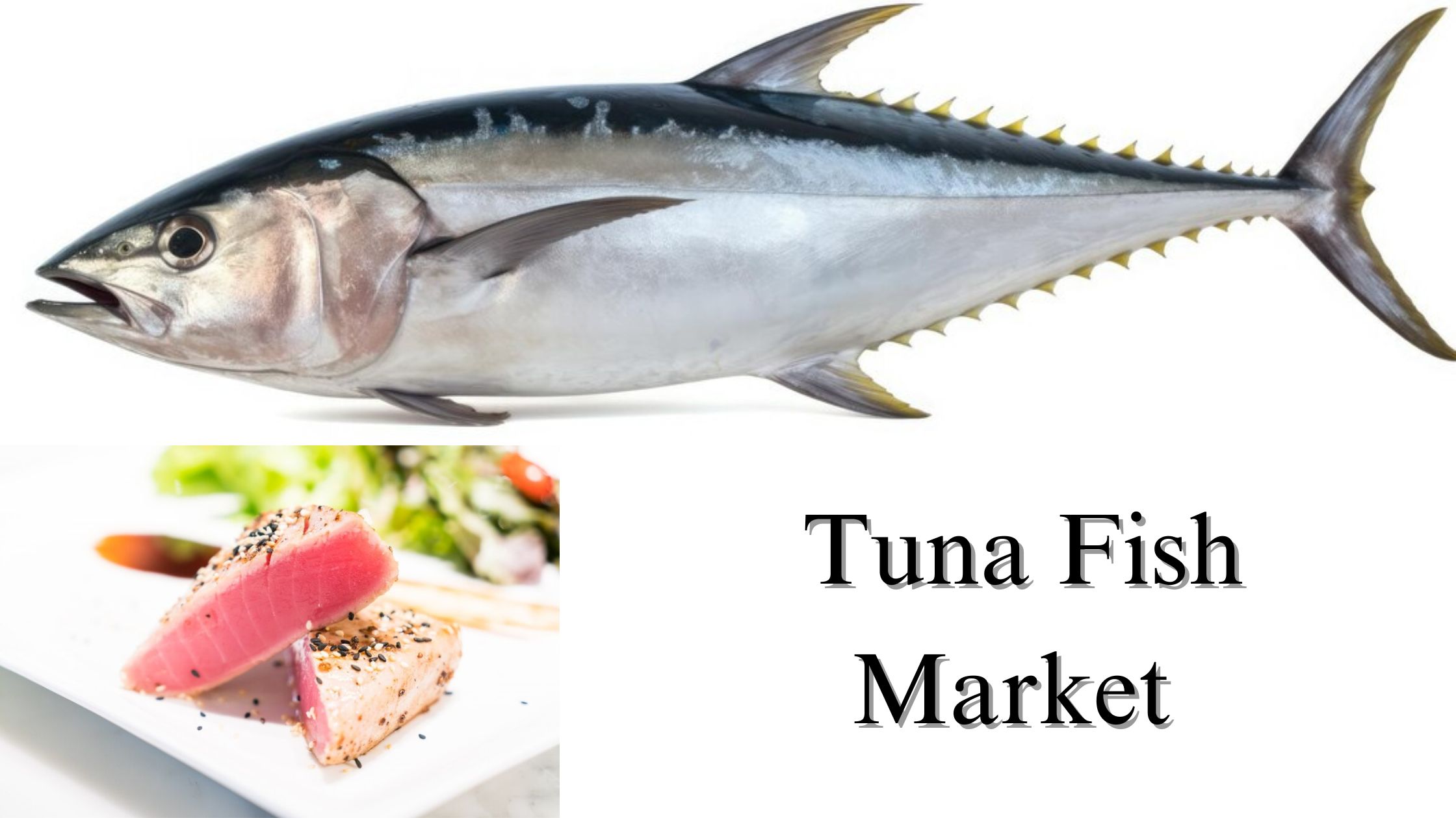 Tuna Fish Market, Size, Share, Growth Forecast Through 2032