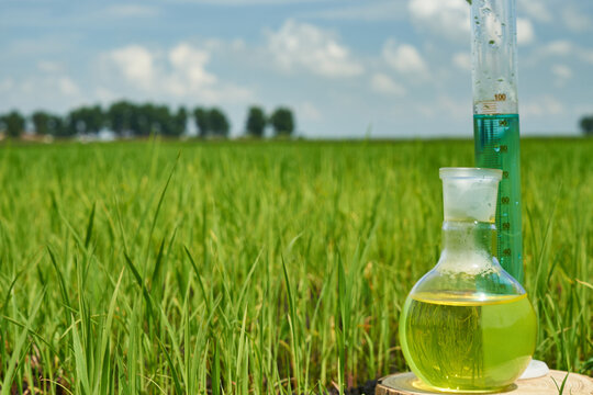 Agrochemical Strategies in Modern Agriculture: A Comparative Analysis of Biopesticides and Traditional Pesticides